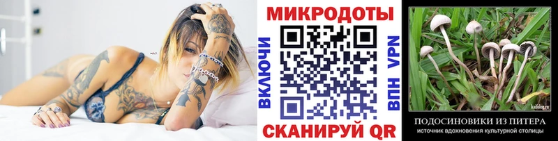 Купить закладки  Нижние Серги  Псилоцибиновые грибы Cubensis 